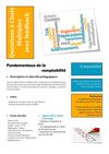 QCM avec feedback - Fondamentaux de la comptabilité