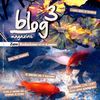 Blog3Magazine - n.3 - Giugno2012