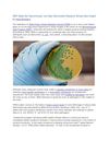 New Salmonella Research Brings New Insight