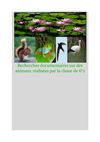 Recherches sur des animaux