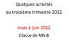MS B Activités 3ème trimestre 2012