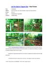 tagum city lot for sale