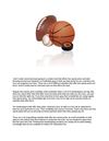 Can Free Sports Picks Help You Win
