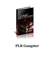 PLR And The Boost It Can Give Your Auto Blog 