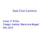 La Venganza De Una Vaca, Juan Cruz Larrocca