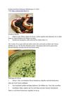 Kochen mit Selzer-McKenzie SelMcKenzie 12.7.2012