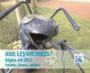 Guide été à la béglaise !