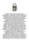 Organic-Coffee-Beans-Have-Got-A-Lot-Of-Advantages-75