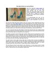 Why Ziginy Shoes are Loved by Women