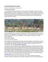 My Vacation to Africa