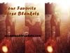 Your Favorite Horse Blankets