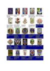 INSIGNES REGIMENTAIRES