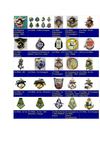 INSIGNES REGIMENTAIRES