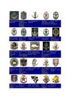 INSIGNES REGIMENTAIRES