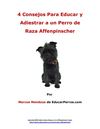 4 Consejos Para Educar y Adiestrar a un Perro de Raza Affenpinscher