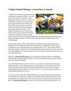 College Football Betting; A Good Start to Success