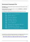 Revolutionary Compensation Plan