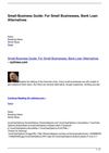 Small-Business Guide: For Small Businesses, Bank Loan Alternatives
