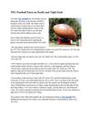 NFL Football Facts on Drafts and Tight Ends