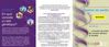Brochure Gestion du Poids