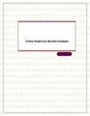 China Shale Gas Market Analysis