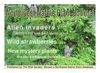 June 2012 Northwest Native Plant Journal