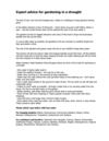 Expert Advice for Gardening in A Drought - St Edmundsbury Borough Council, UK