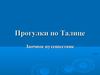 Прогулки по Талице