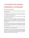EXCRECIÓN EN LOS ANIMALES