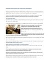 Finding Financial Help for Long-term Disabilities