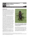 Selection and Use of Insecticides for Organic Production - New Mexico State University