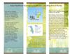 raise-healthcare-business-to-healthcare-consulting-firm-in-florida