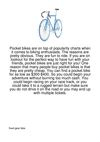 Pocket-Bikes-Are-On-Top-Of-Popularity-Charts-When-87
