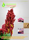 REVISTA INDUALIMENTOS & EXPORTACIONES Nº 05
