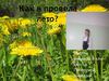 как прошло лето