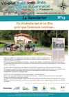 La Newsletter du Voyage avec mes ânes en Côte Roannaise - N°13
