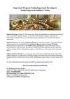 Supertech Projects Noida,Supertech Developers Noida,Supertech Builders Noida