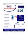 Learn Advanced Search Engine Optimization SEO Training Program in Chennai