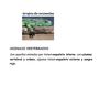 Animales vertebrados