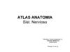 Atlas Sistema Nervioso