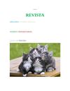 Revista