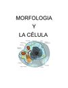 MORFOLOGIA Y CÉLULA