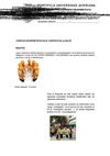 Protocolo conformación de equipos