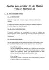 Tema 2 Cono (Apuntes)