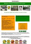 MONKEY FOREST anniversaire 4-15 ans 2013 