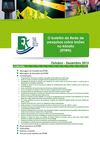 RTIRN Newsletter October-December 2012 (Portugese)