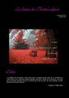 n°42 Octobre 2012