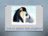 Què en sabem dels pingüins?