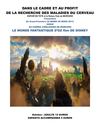 LE MONDE FANTASTIQUE D OZ 2013