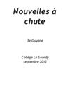 Nouvelles à chute - 3eG2